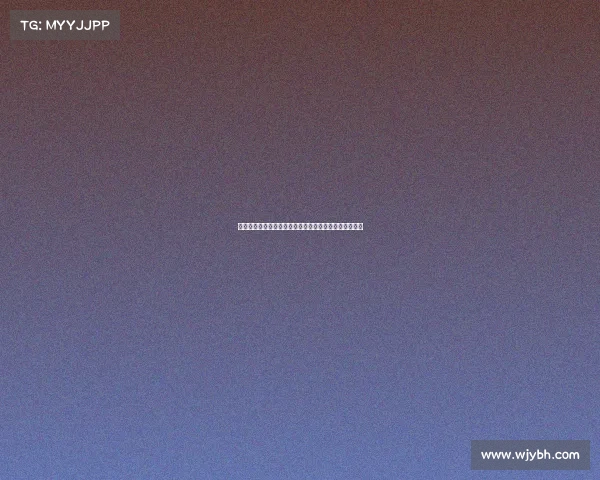 网球比赛裁判职责与判罚标准的全面解析与实践技巧分享